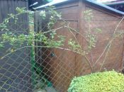 Zahradní domek na nářadí H2 250x120